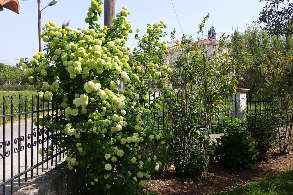 New Village Studios, Preveza A3 Dış mekan fotoğraf